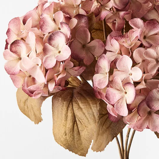 Hydrangea Bush - Dusty Pink Cream - Product Image