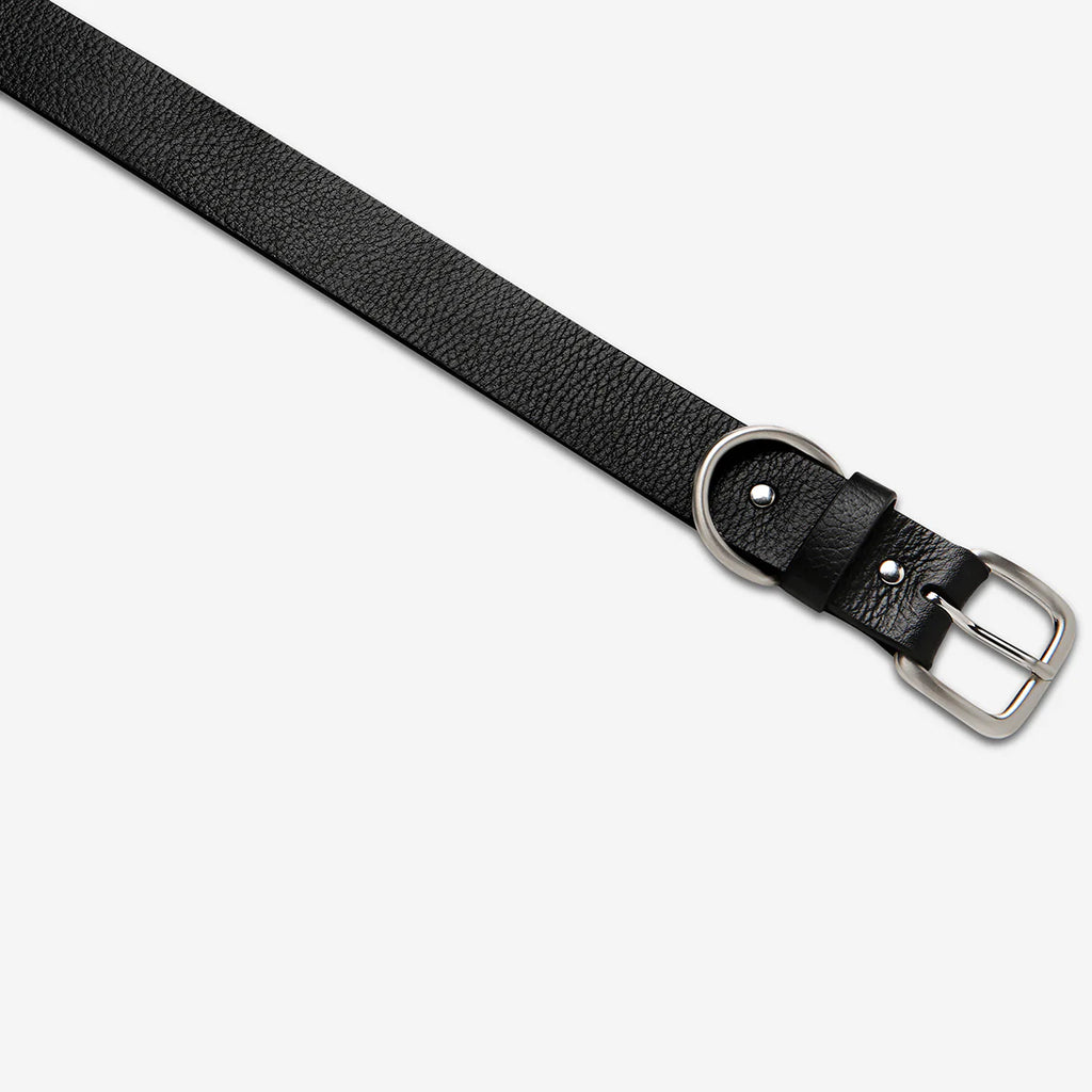 Disarm - Black Silver Leather Belt - Product Image