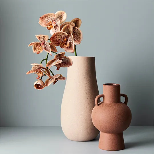 Orchid Phalaenopsis Spray Toffee 92cm - Product Image