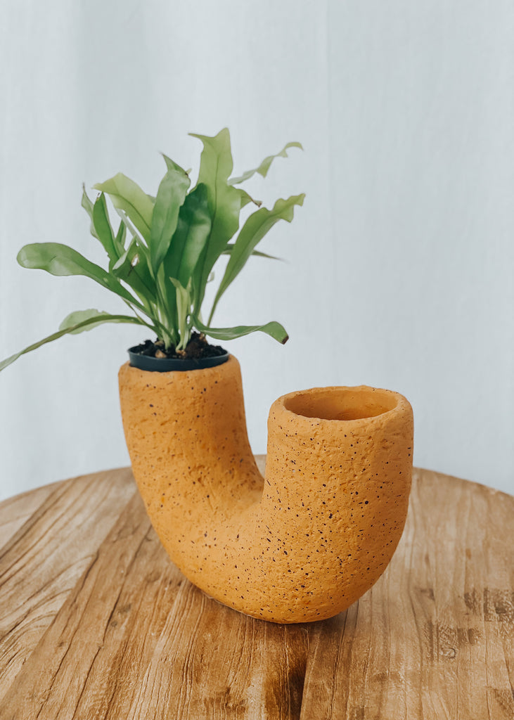 Saxon Cement Vase - Cantaloupe - Product Image