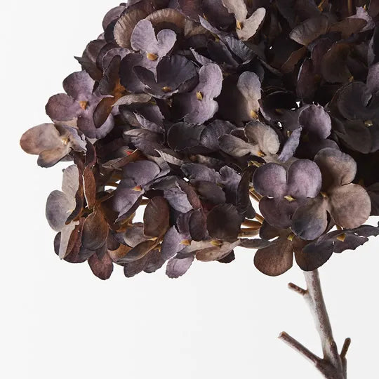 Hydrangea Stem 50cm - Product Image
